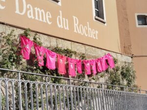 Lire la suite à propos de l’article OCTOBRE ROSE au collège